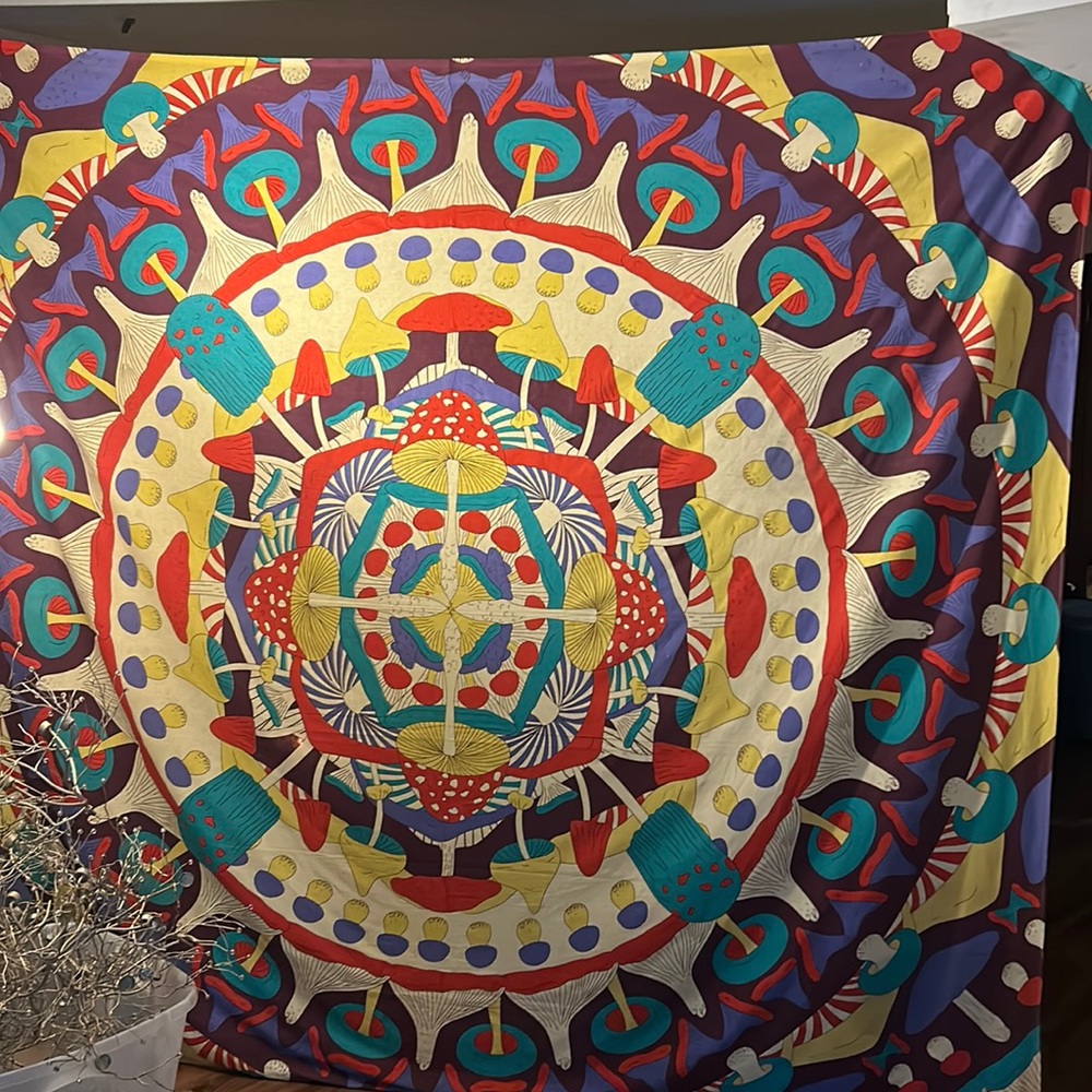 Mushroom tapestry. multiple colors nothing is wrong with it